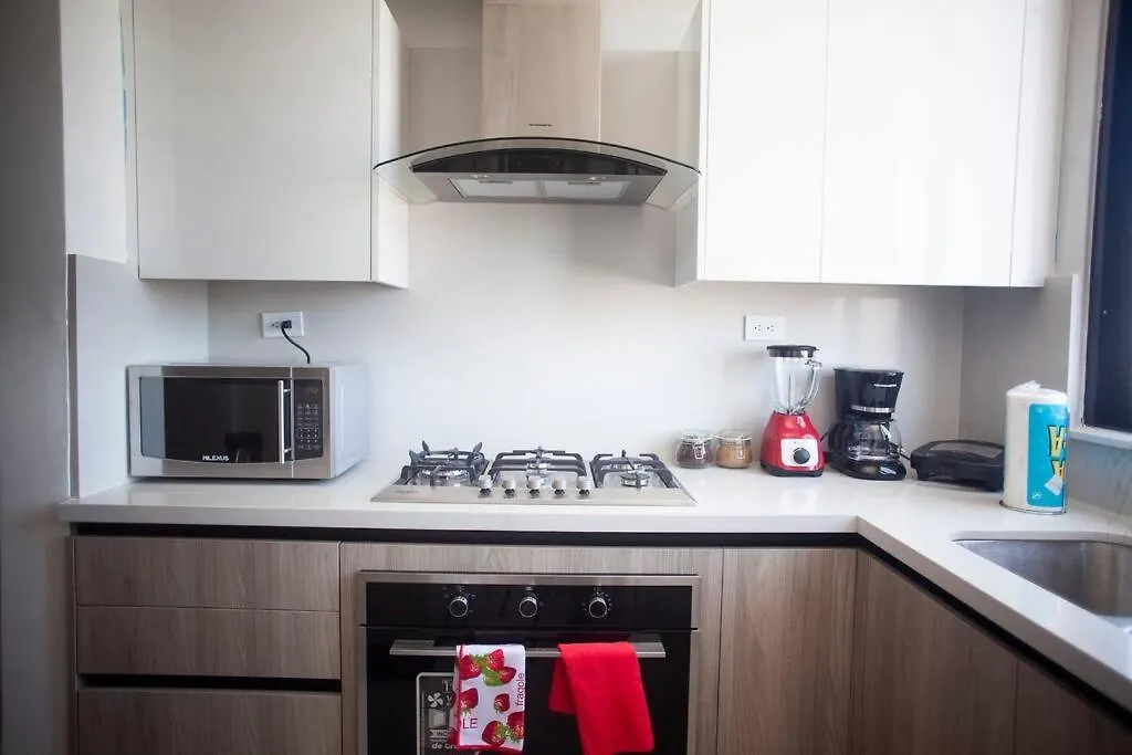 Apartamento De 2H En El Centro De La Ciudad Santo Domingo
